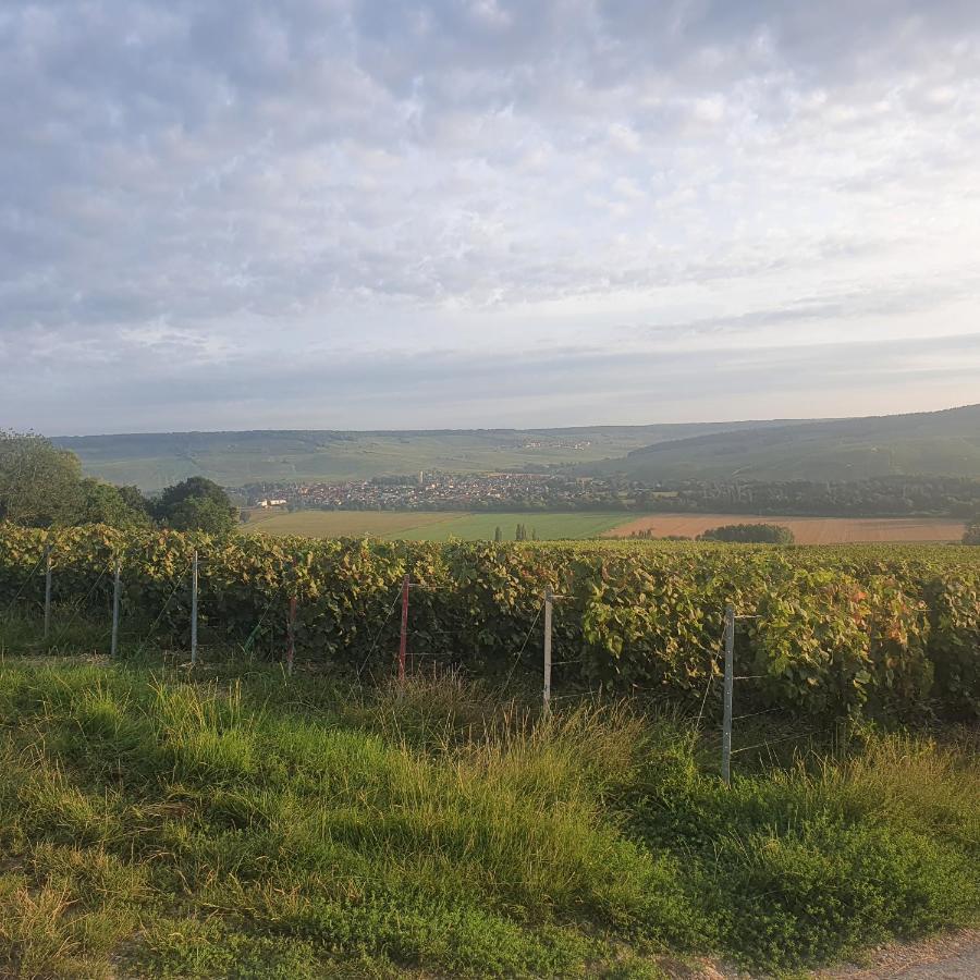 Chambres La Fabiere Vauciennes -Epernay 外观 照片